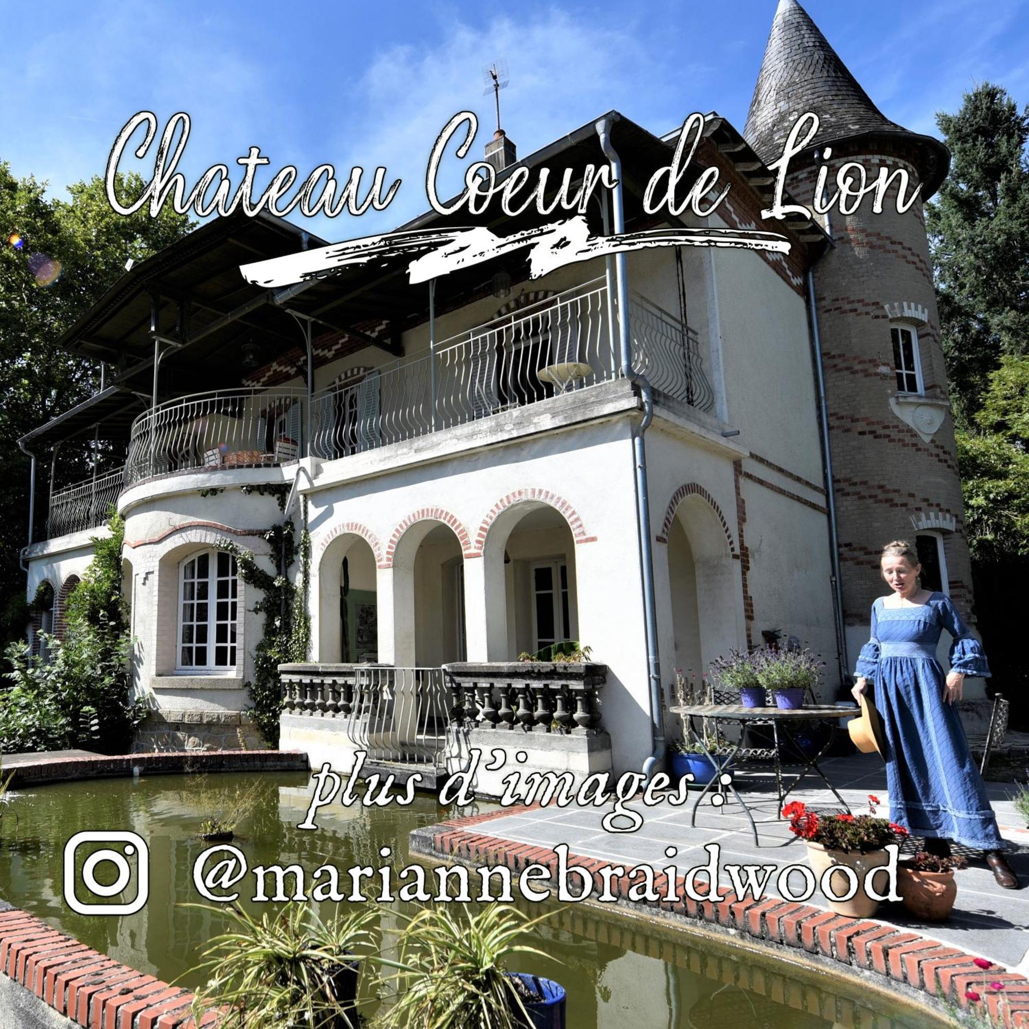 Chateau Coeur De Lion Chateauponsac Экстерьер фото