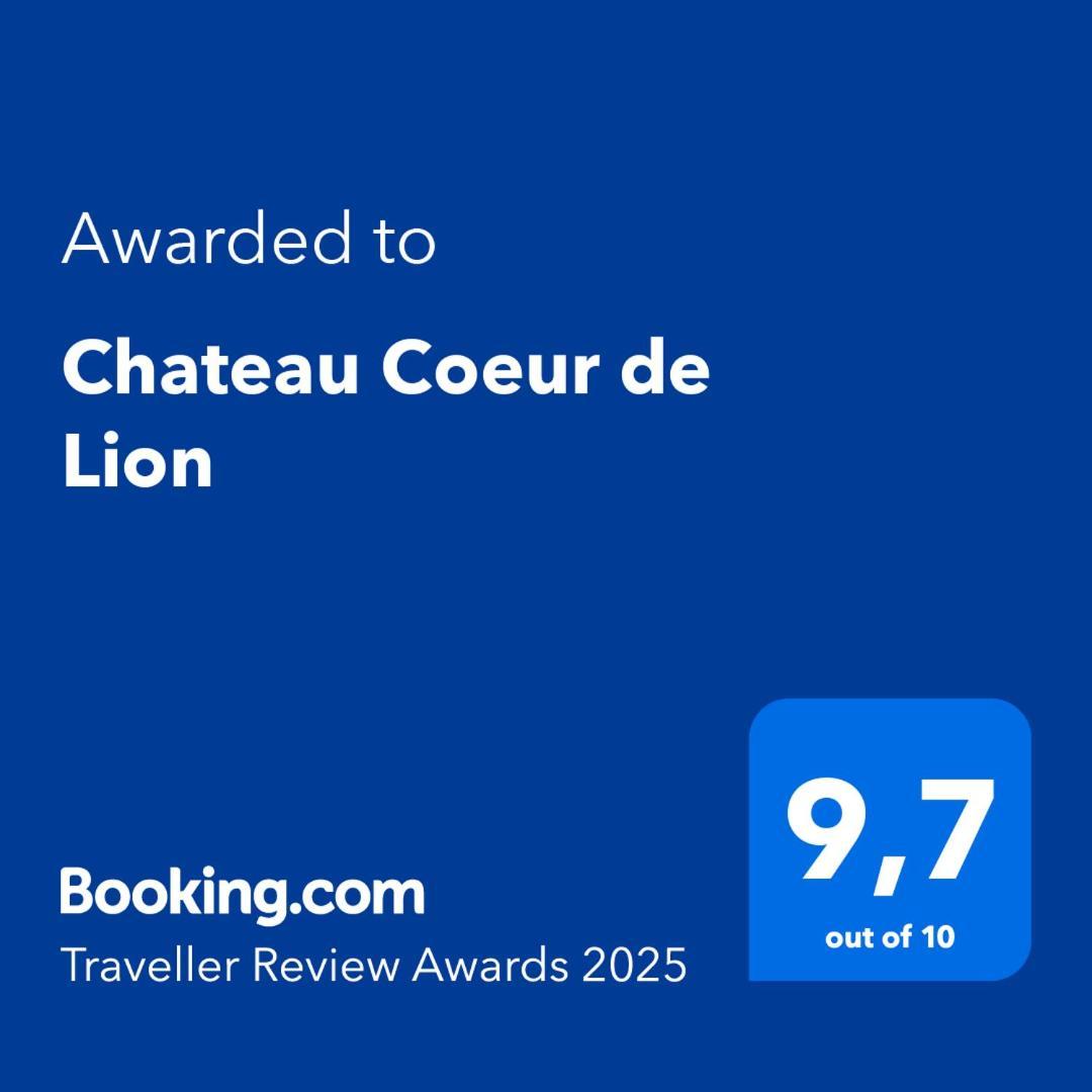 Chateau Coeur De Lion Chateauponsac Экстерьер фото